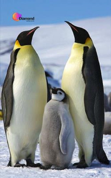 Pinguin Diamond Painting for you